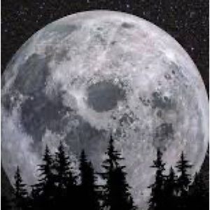 Meet your Posher, Sondra